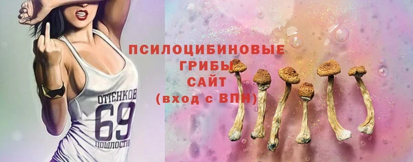 прущая мука Каменка