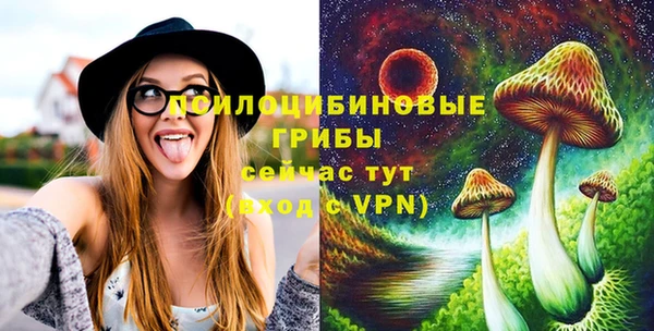 прущая мука Каменка